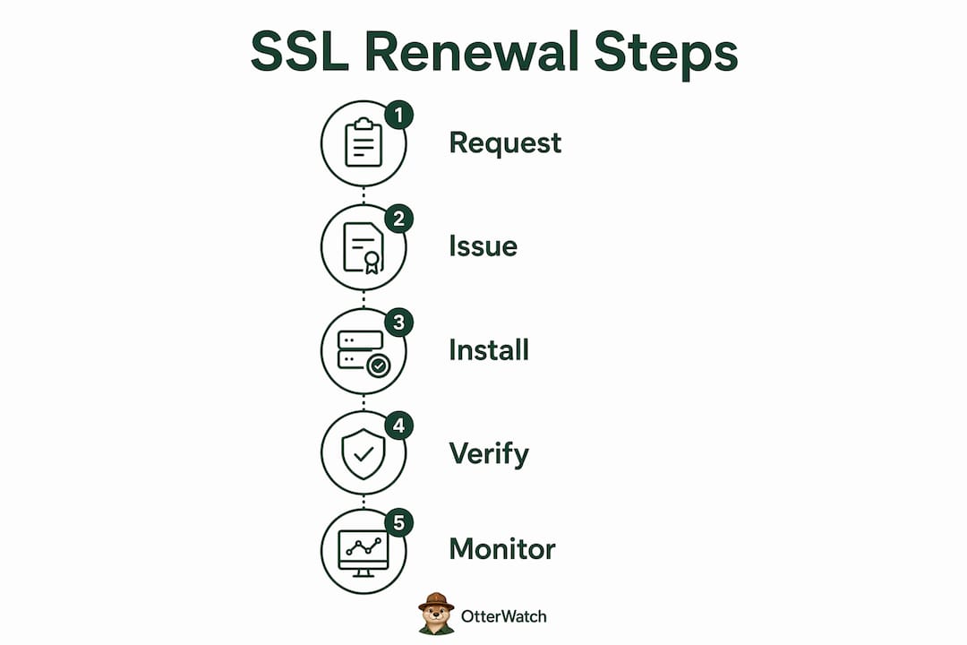 Infographic outlining SSL renewal step-by-step process
