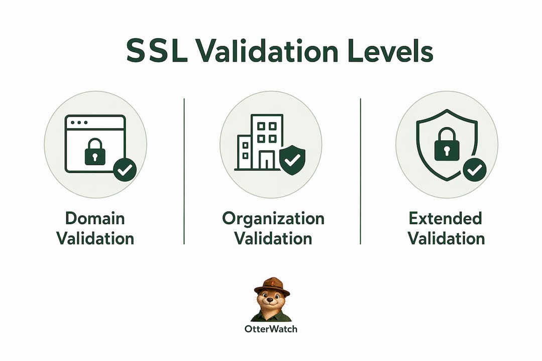 Infographic illustrating SSL validation types hierarchy