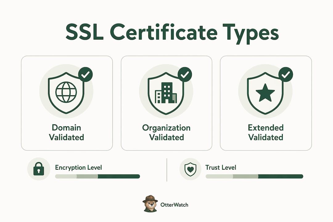Infographic showing SSL certificate types hierarchy