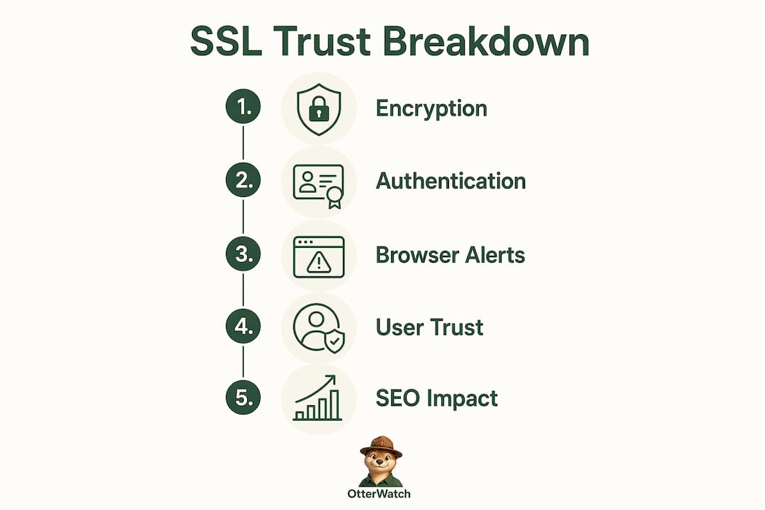 Infographic illustrating SSL trust factors