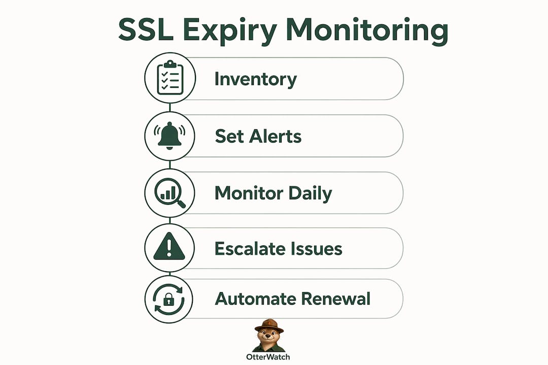 Infographic showing SSL certificate expiry monitoring steps