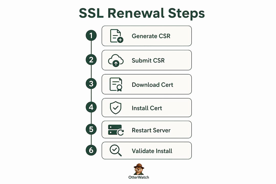 Infographic illustrating step-by-step SSL renewal process