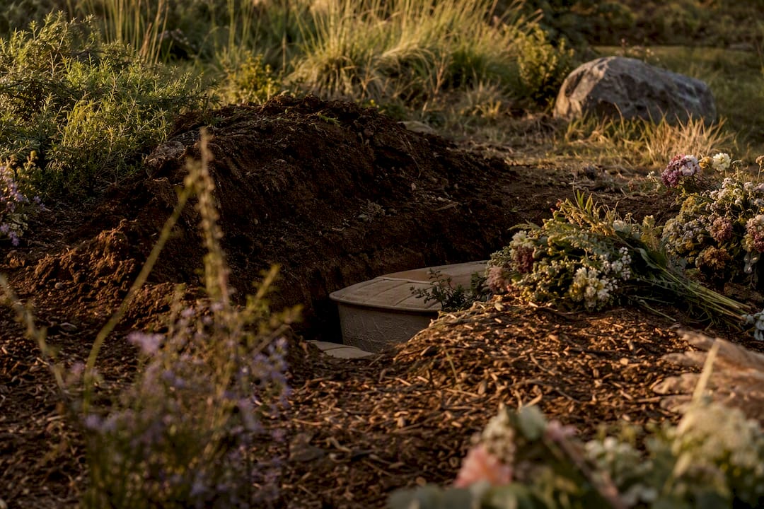 Natural burial site with soil and plants