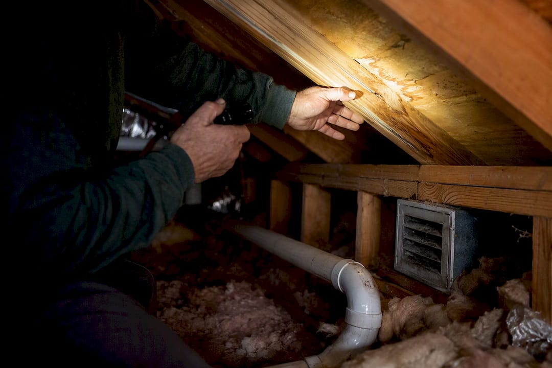 Attic interior with close roof inspection
