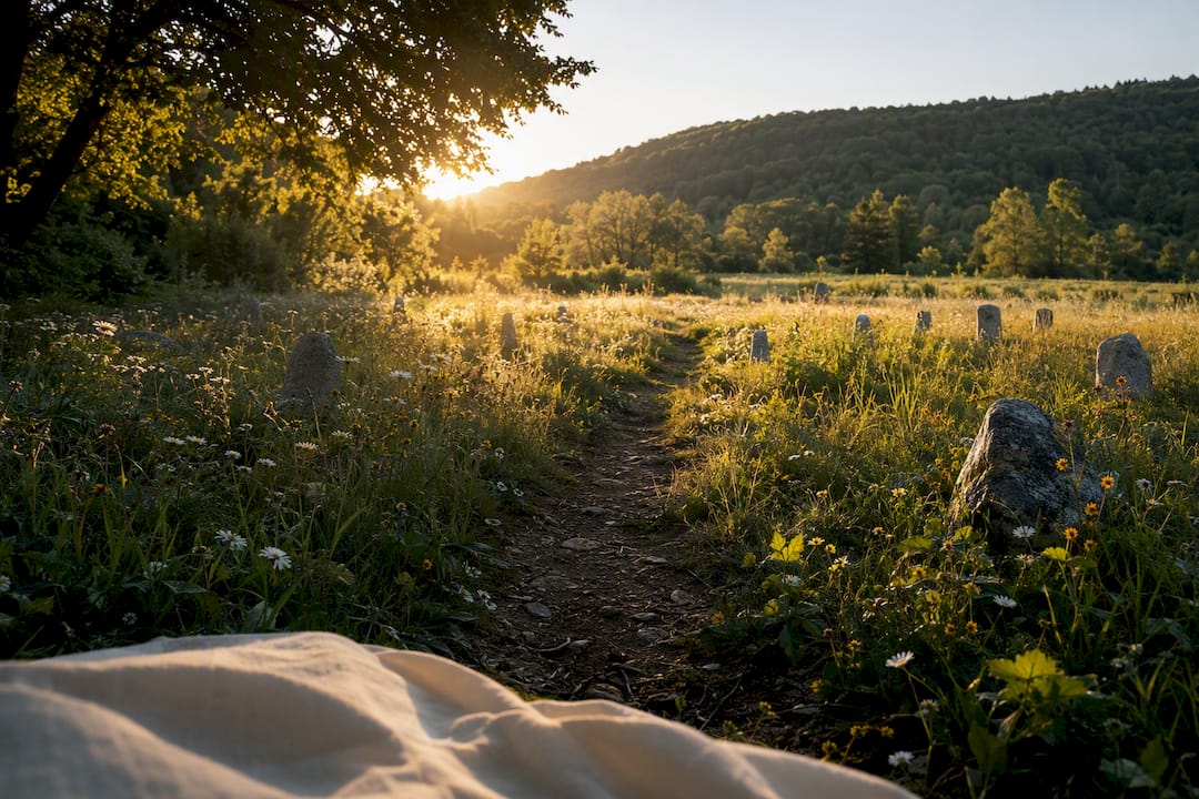 Natural burial meadow with native grasses