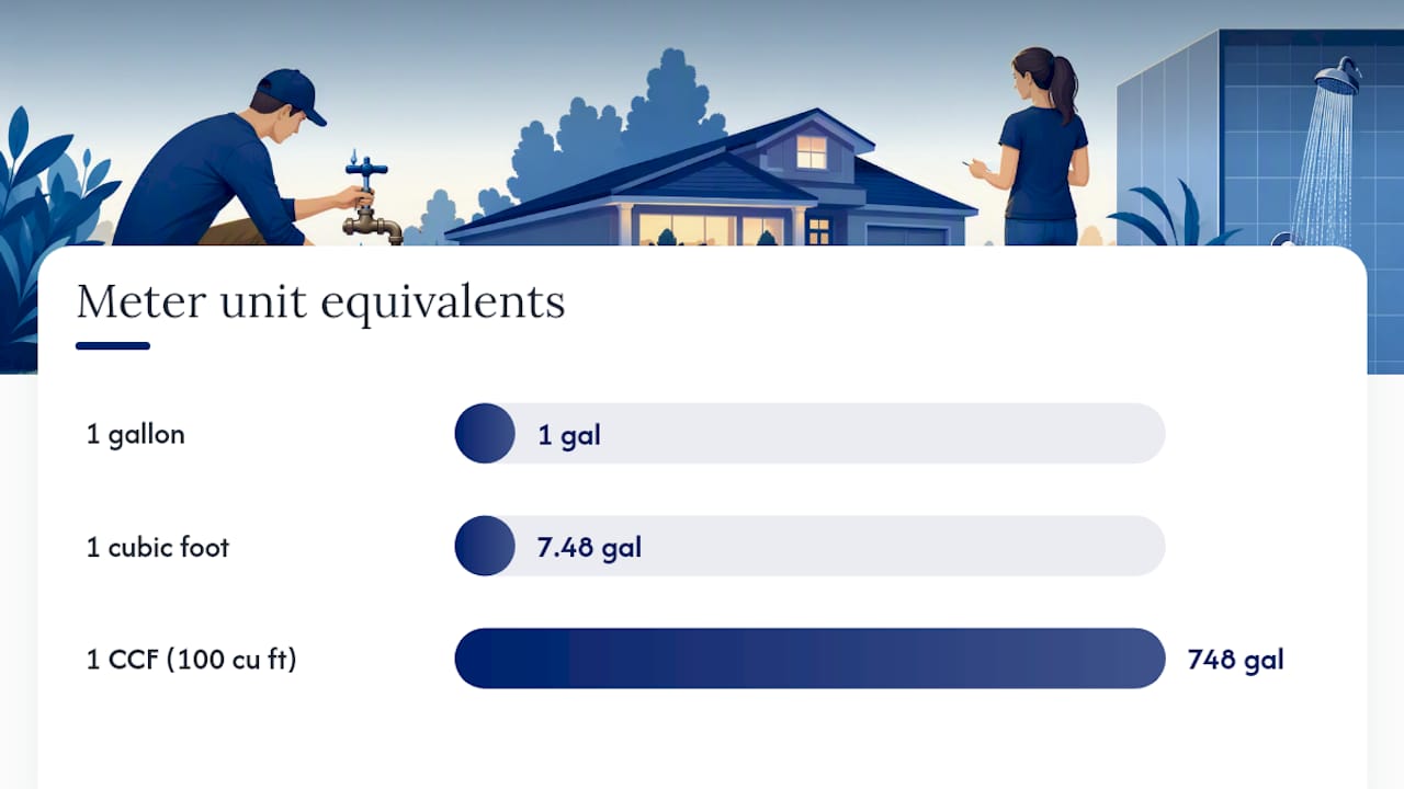 Reading Your Meter and Bill Correctly — overview diagram