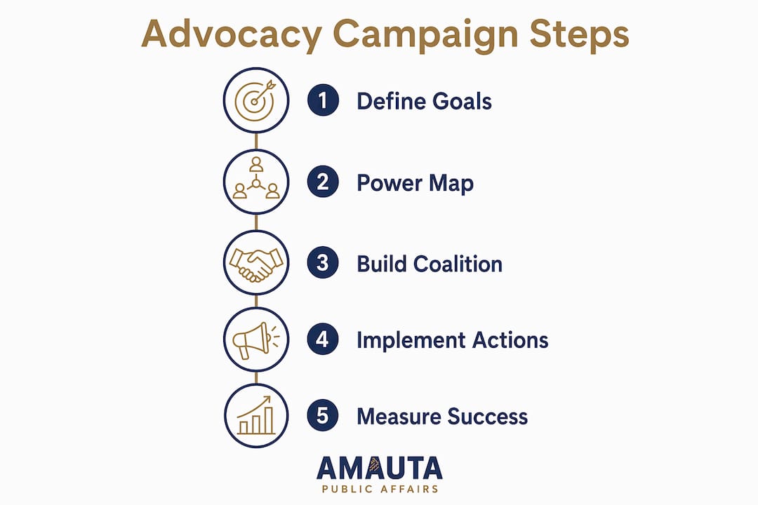 Infographic showing core steps in advocacy campaigns