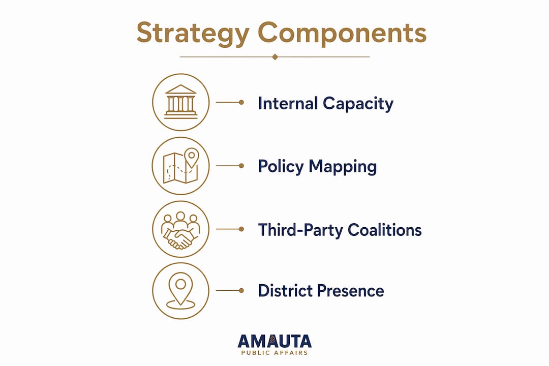 Infographic showing key components of government relations strategy
