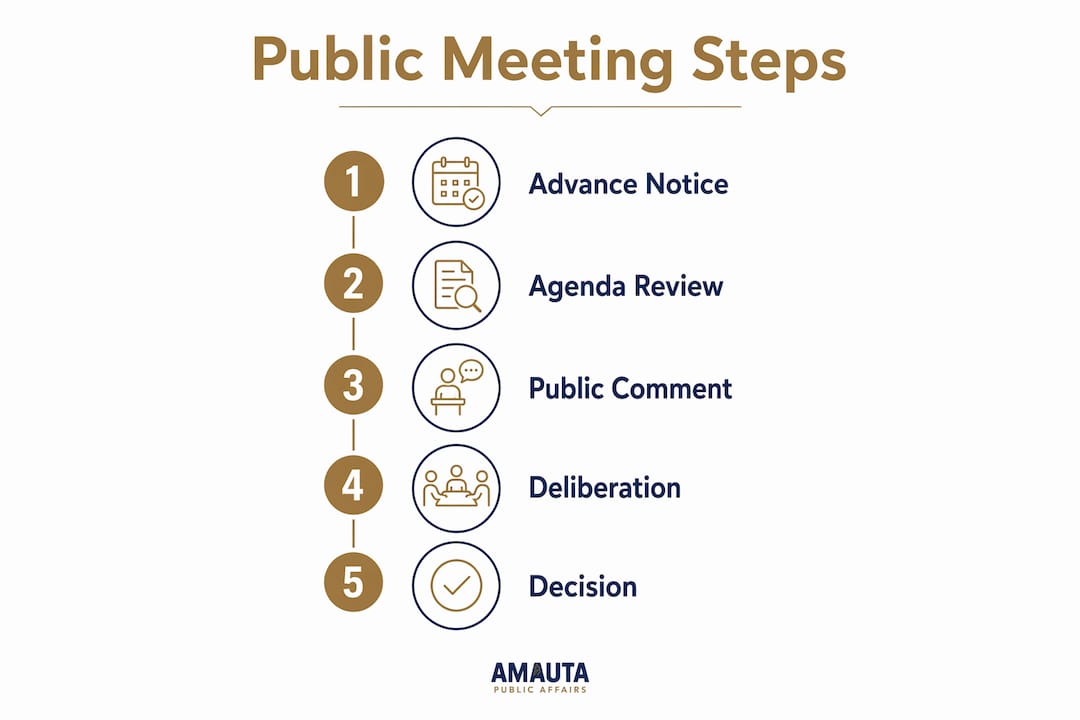 Infographic of public meeting participation steps