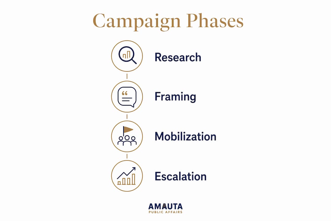 Infographic illustrating opposition campaign phases