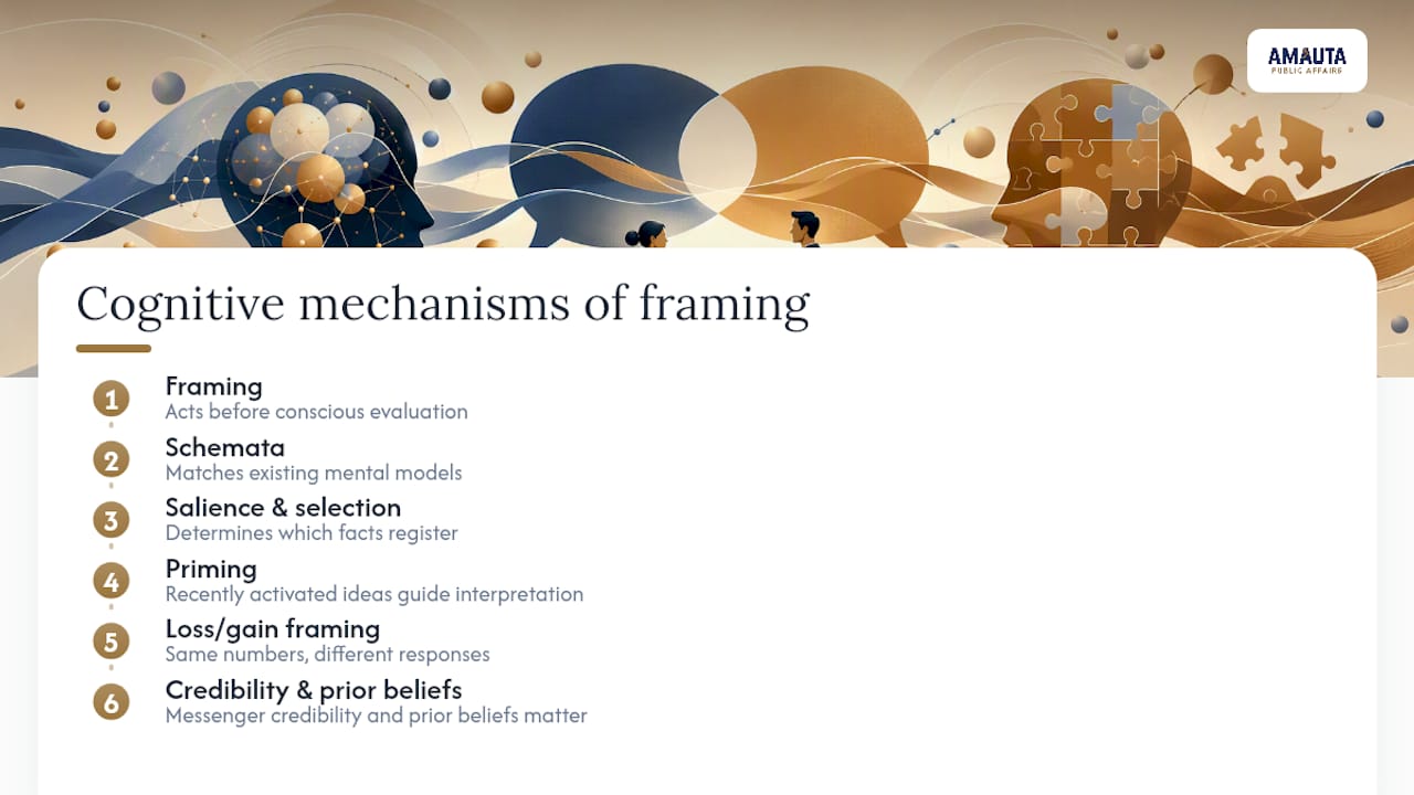 Diagram of cognitive mechanisms in issue framing