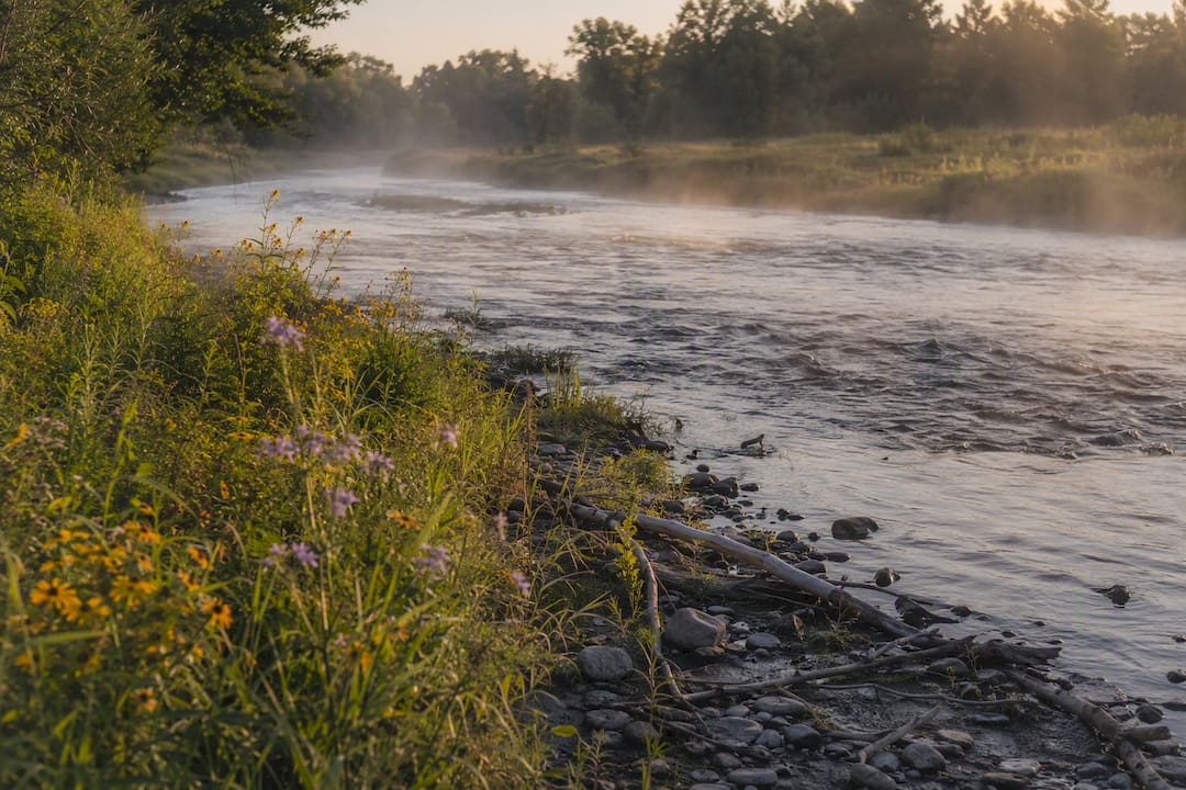 River flowing through forested watershed landscape