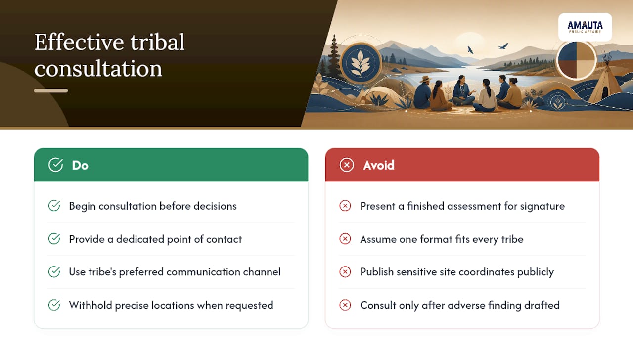 What Does Effective Tribal Consultation Look Like in Practice? — overview diagram