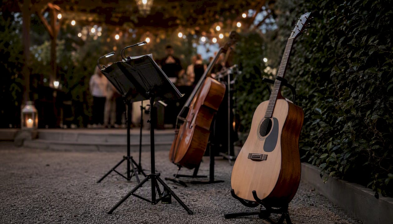 Acoustic guitar and strings for cocktail hour