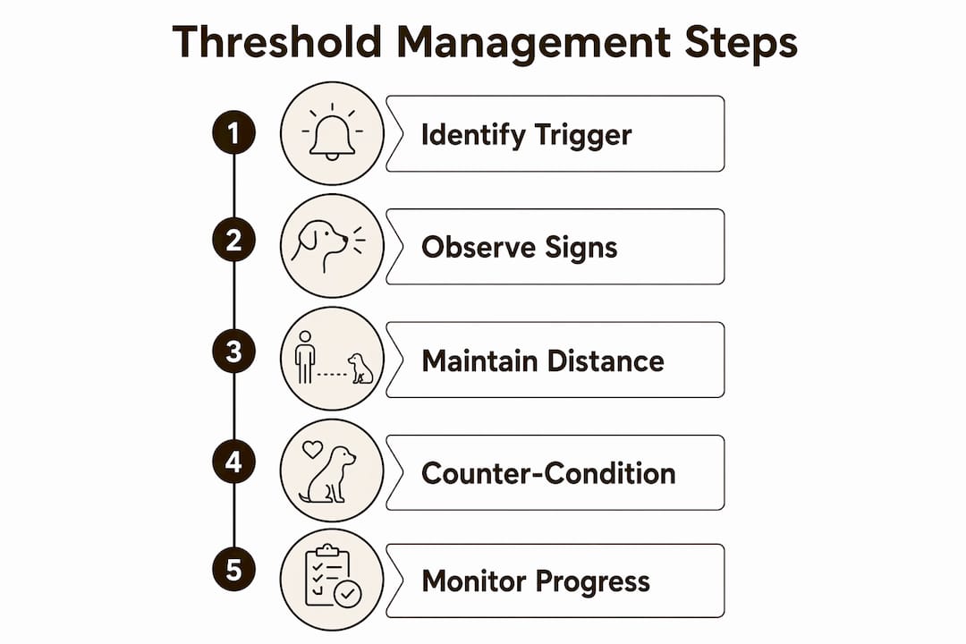 Infographic showing steps for managing dog aggression threshold