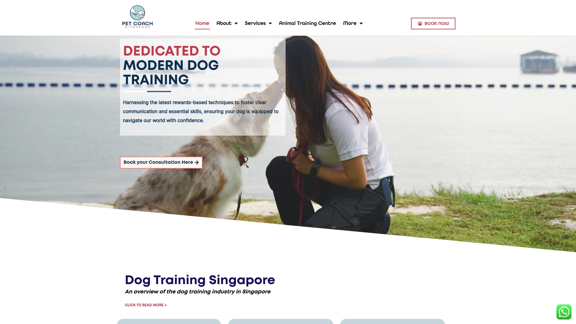 https://petcoach.sg