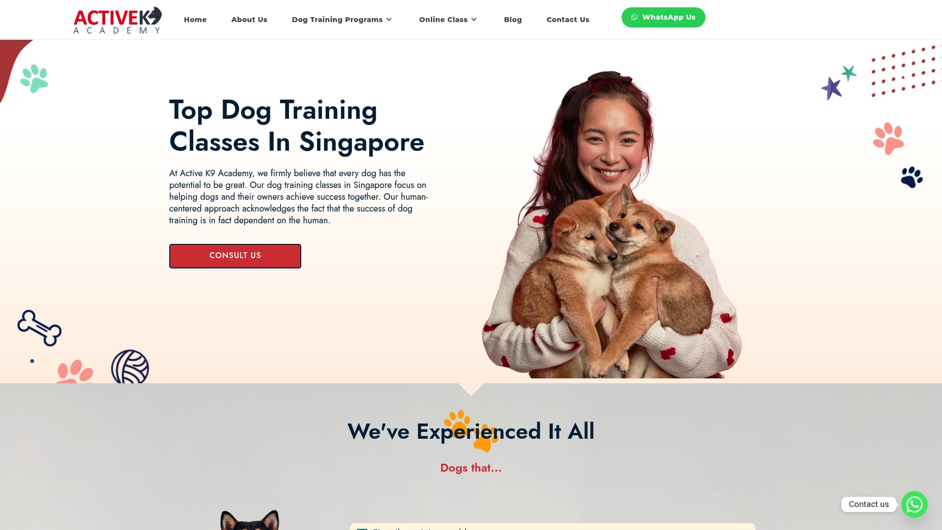 https://activek9academy.com