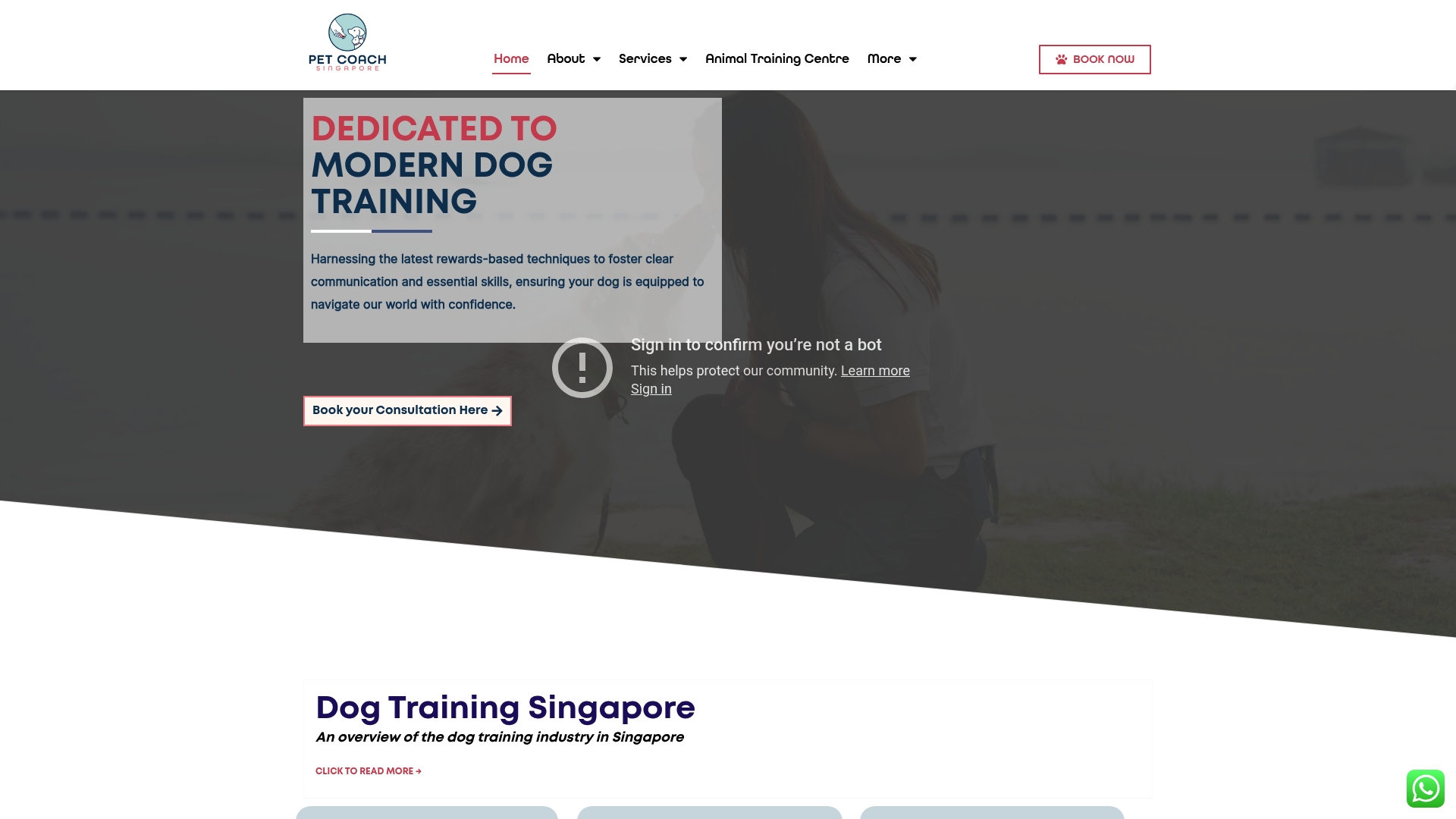 https://petcoach.sg