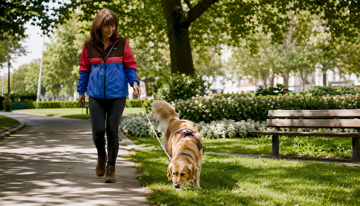 Woman walking calm dog in morning park