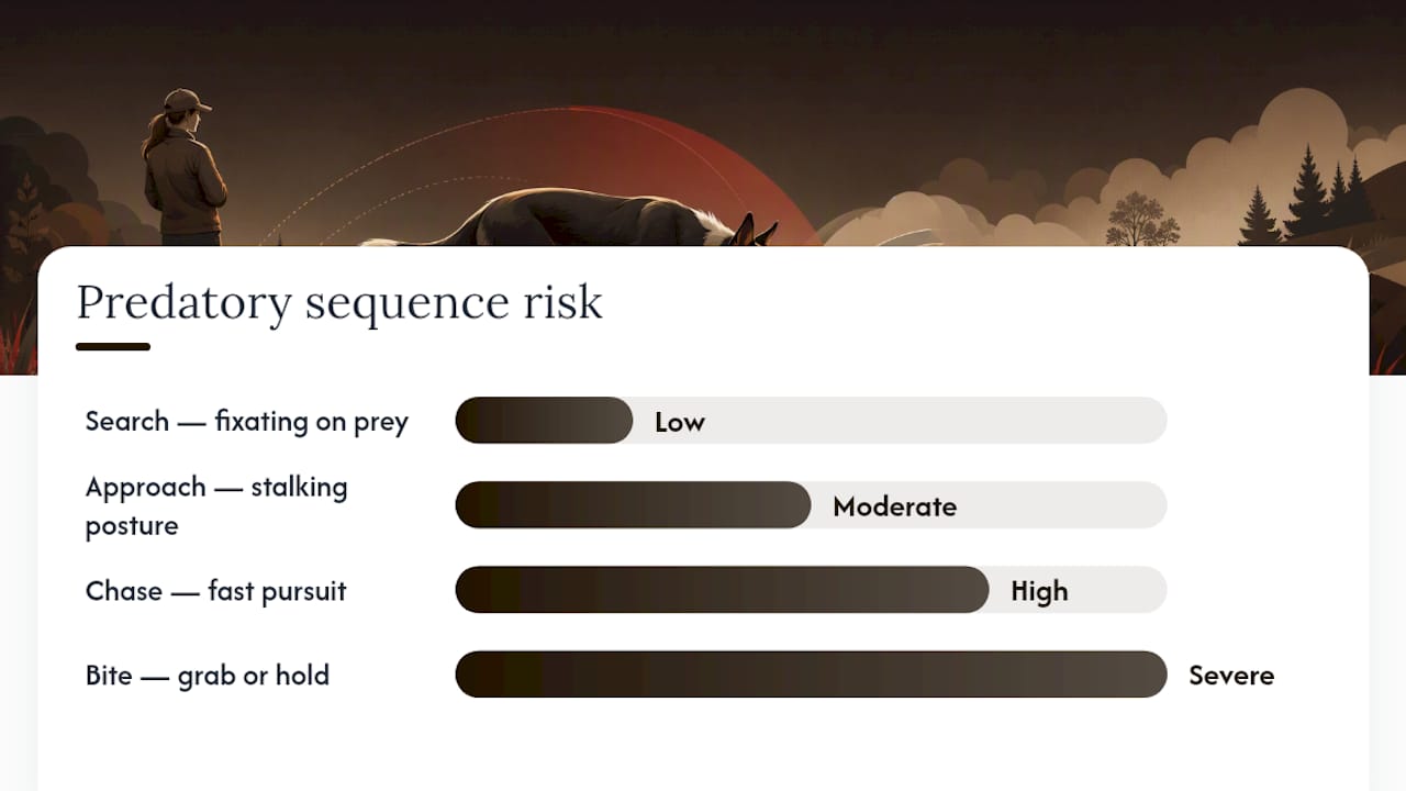Diagram of dog predatory sequence stages
