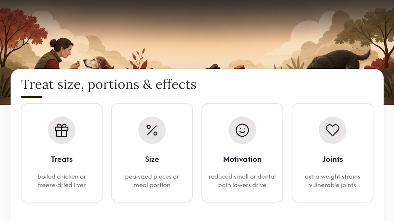 Diagram of treat portion control for senior dogs