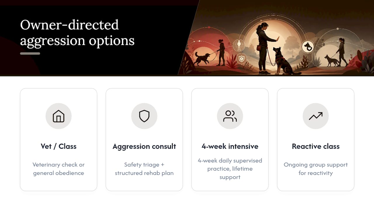 Get direct support for owner-directed aggression — overview diagram