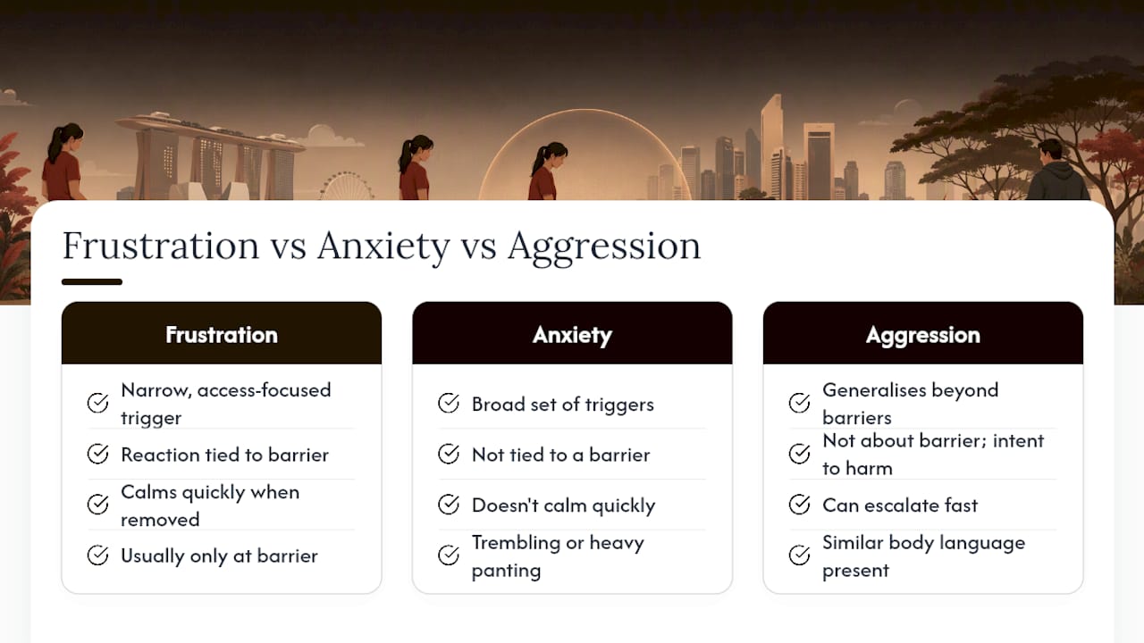 Barrier frustration versus anxiety and true aggression — overview diagram