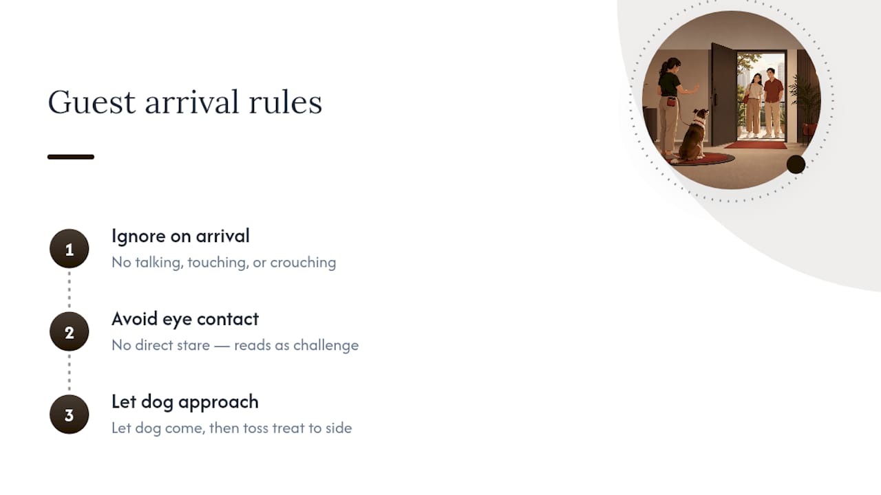 Three rules for greeting a barking dog