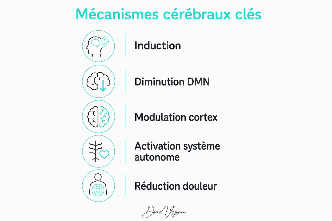 Schéma explicatif : comment l’hypnose agit sur le cerveau pour moduler la douleur