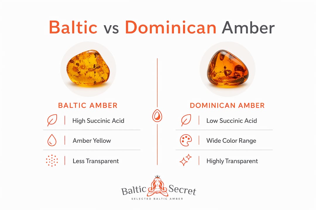 Infographic comparing Baltic and Dominican amber characteristics