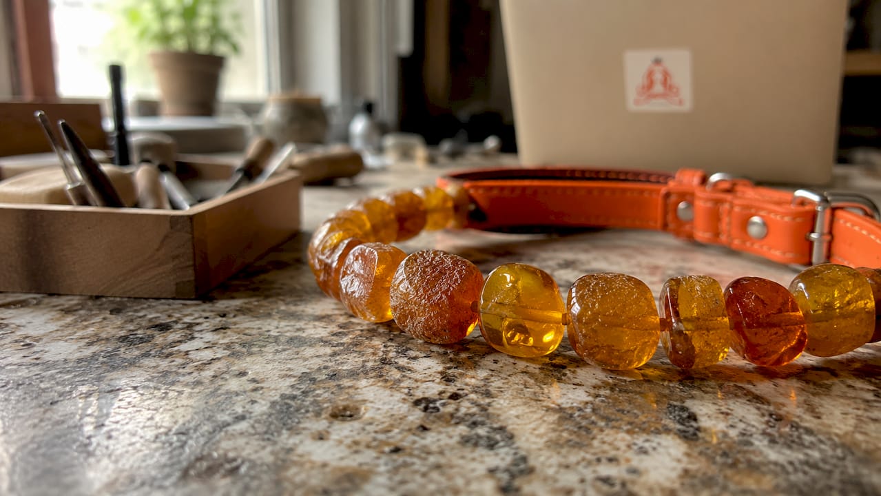 Close-up of textured amber beads on pet collar