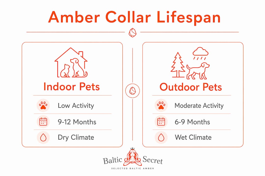 Infographic comparing amber collar lifespans for pet activity levels