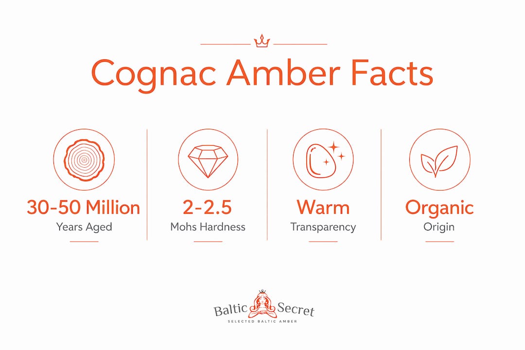 Infographic highlighting key cognac amber jewelry facts