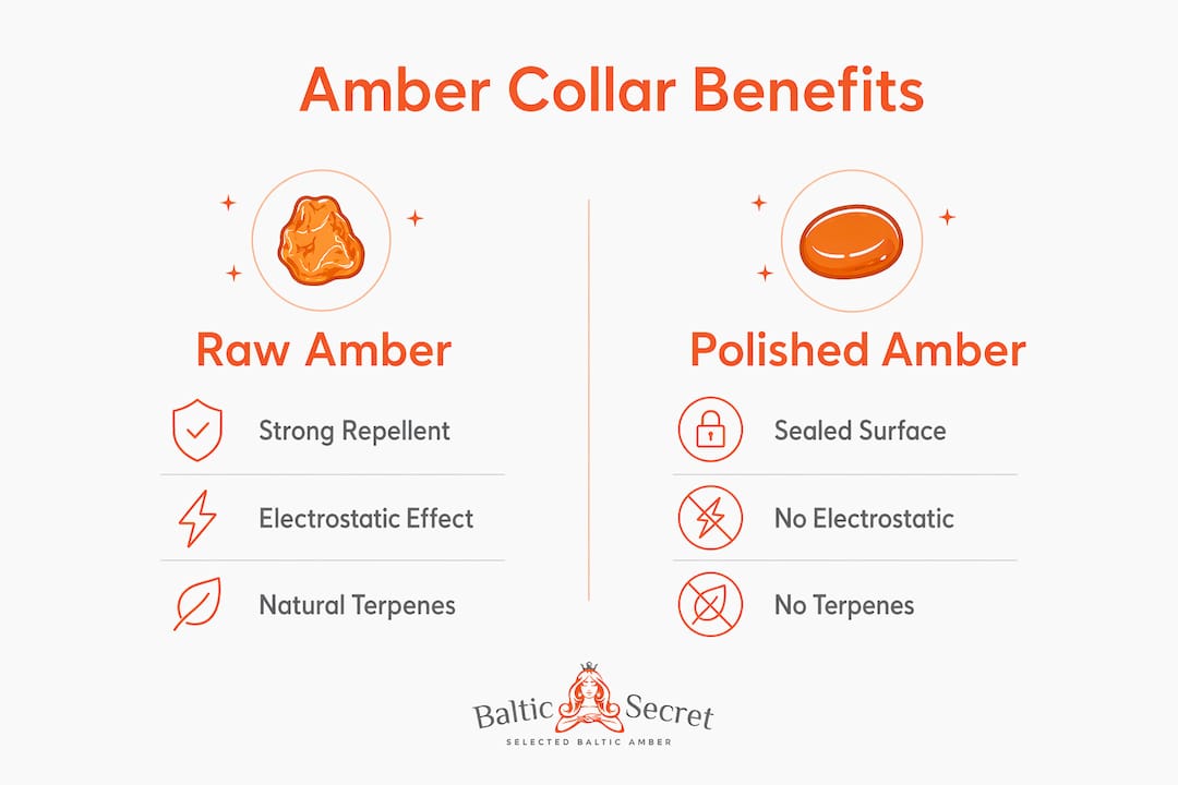 Infographic comparing raw and polished amber collars