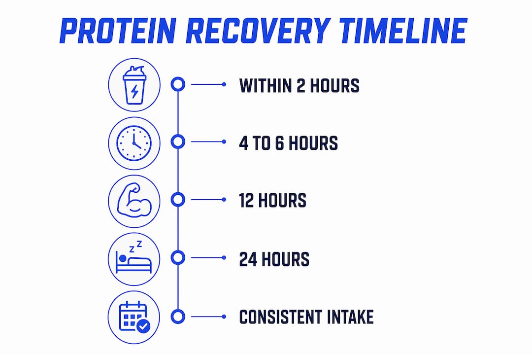 Infographic showing protein intake timeline after marathon