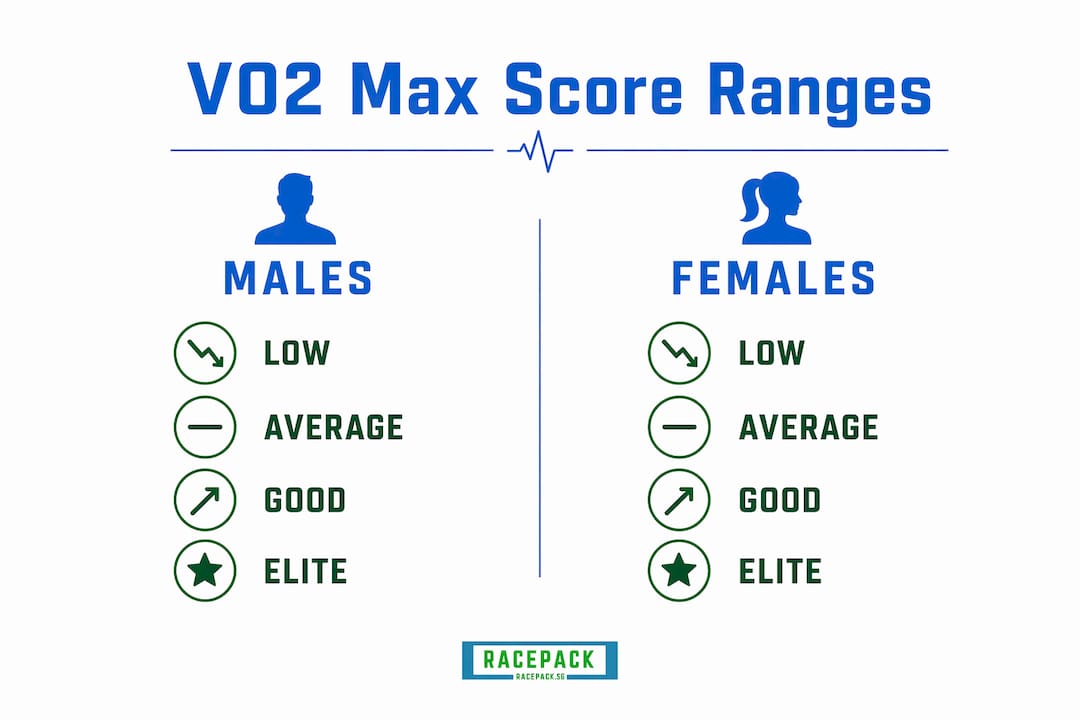 Infographic comparing VO2 max score ranges for males and females