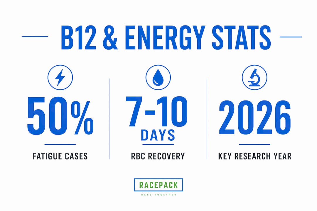 Infographic showing key vitamin B12 energy statistics