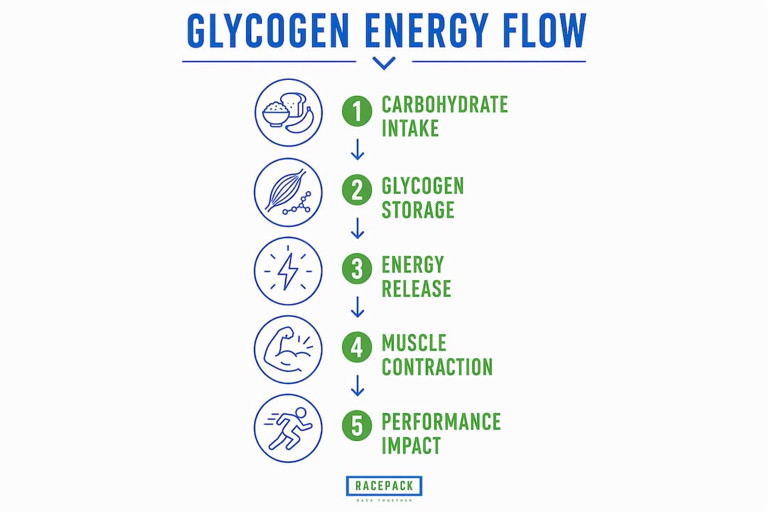 Infographic showing glycogen energy process in running