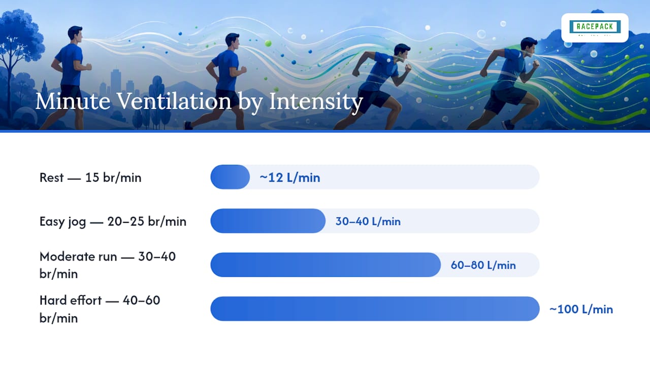 Diagram of breathing rate and ventilation by running intensity