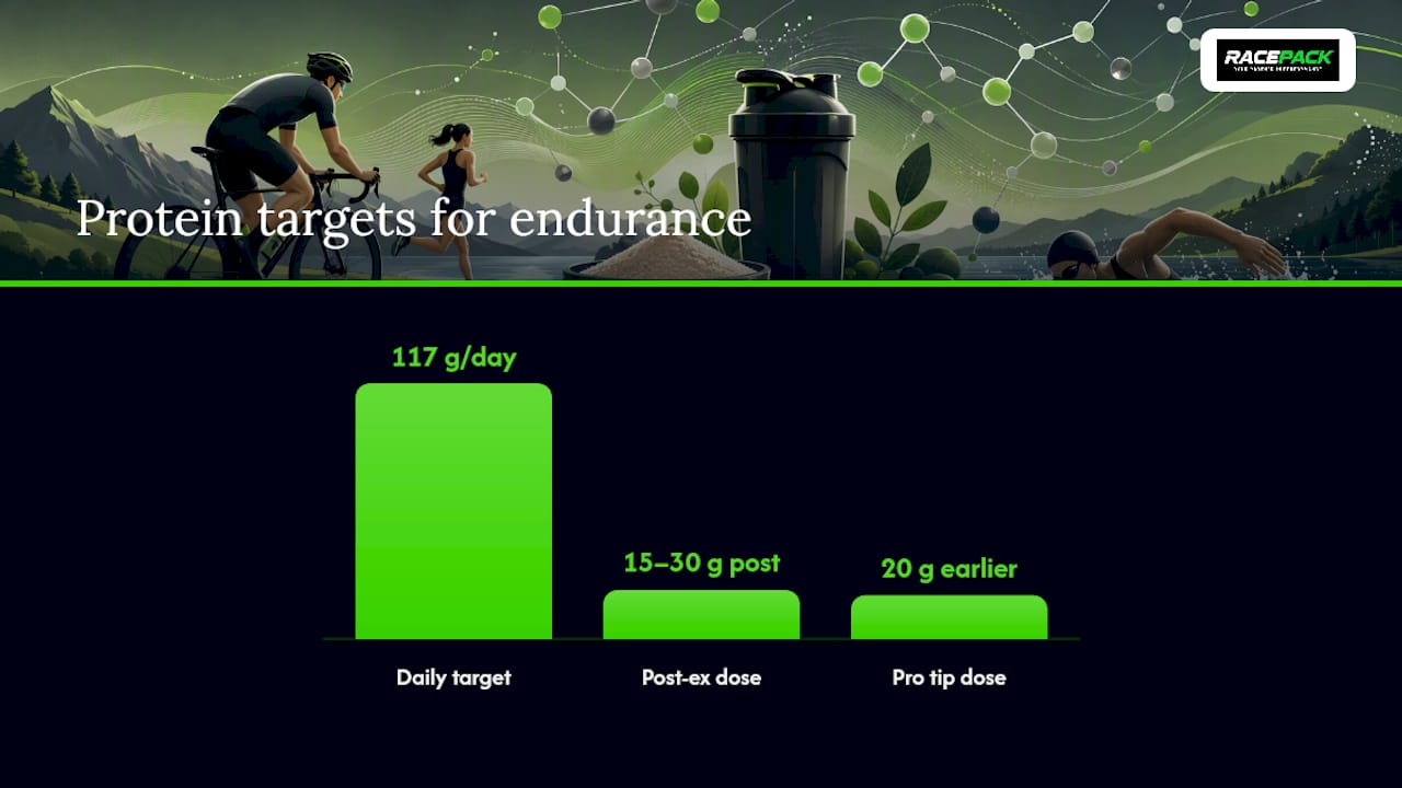 How Much Protein Do Endurance Athletes Actually Need? — overview diagram