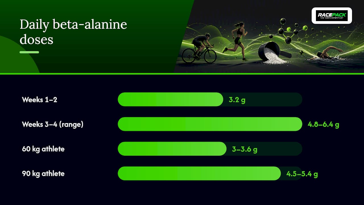 Your 8-Week Beta-Alanine Plan for Endurance Racing — overview diagram