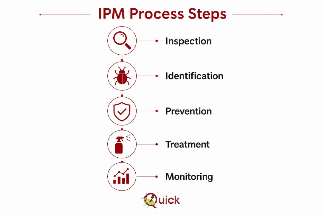 Infographic outlining Integrated Pest Management steps