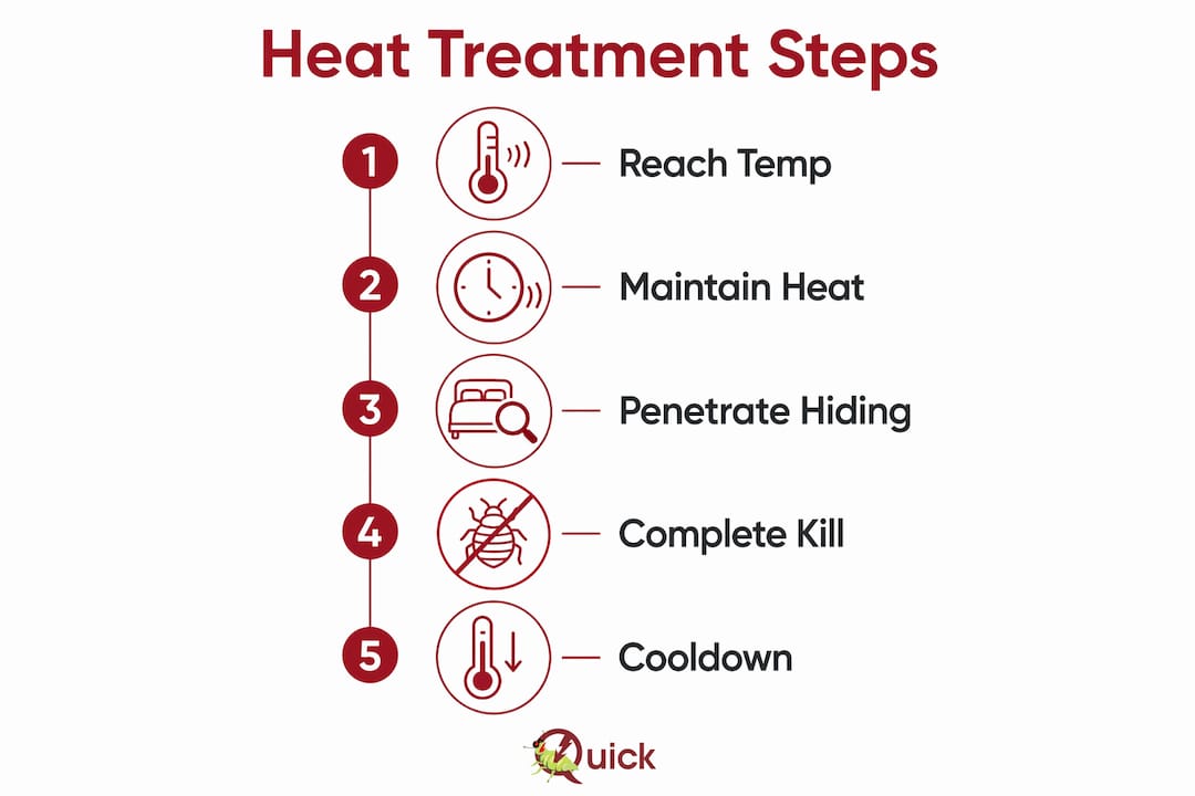 Infographic illustrating bedbug heat treatment process steps