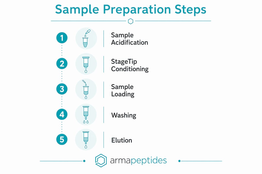 Infographic outlining peptide preparation steps