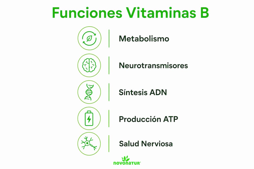 Infografía: ¿Para qué sirven las vitaminas del complejo B?