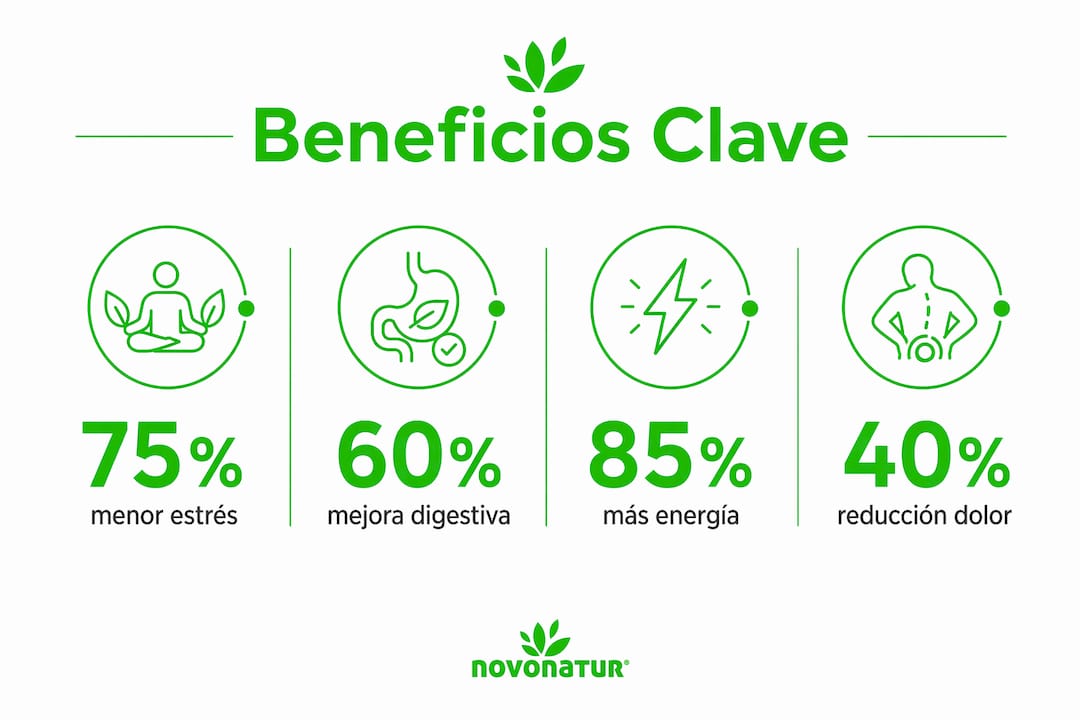 Gráfico informativo con los principales beneficios de la medicina natural y sus porcentajes