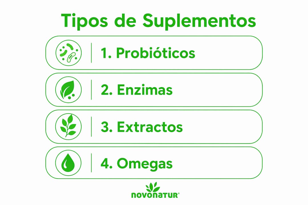 Guía visual sobre los diferentes tipos de suplementos digestivos naturales