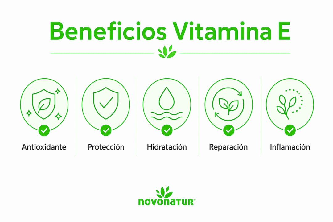 Infografía sobre las ventajas de la vitamina E para el cuidado de la piel en animales