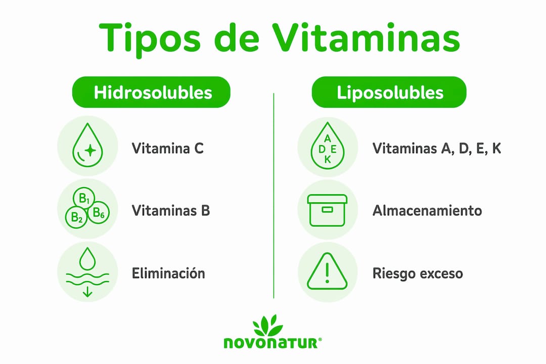 Infografía sobre las diferencias entre vitaminas solubles en agua y vitaminas solubles en grasa