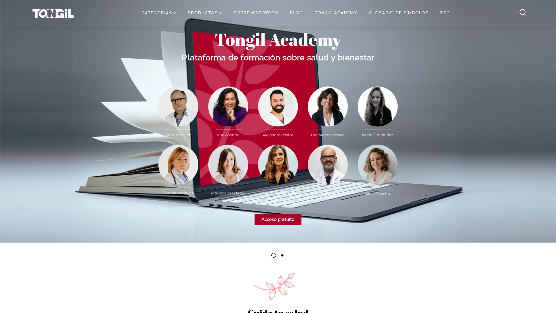 https://tongil.es